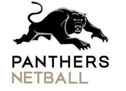 Panthers logo copy